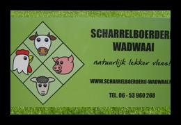 Contactgegevens van Scharrelboerderij Wadwaai