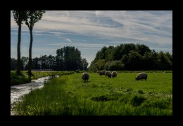 Foto's van Scharrelboerderij Wadwaai in Wognum