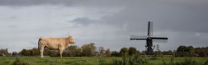 Koop vlees bij Scharrelboerderij Wadwaai in Wognum