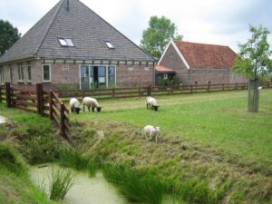 Scharrelboerderij Wadwaai op Facebook