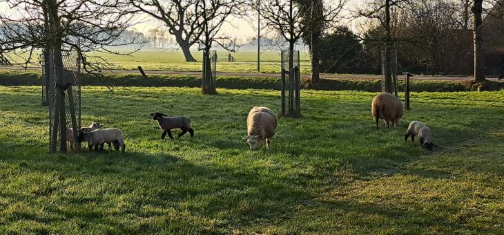 Nieuwsbrief maart 2026