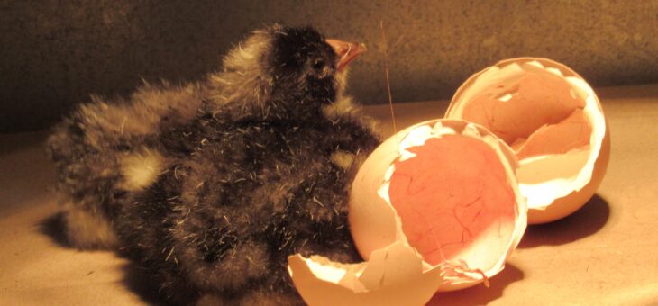 Nieuwsbrief april 2026